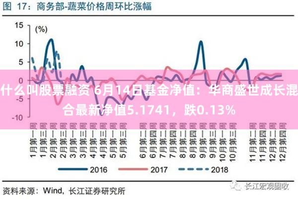 什么叫股票融资 6月14日基金净值：华商盛世成长混合最新净值5.1741，跌0.13%