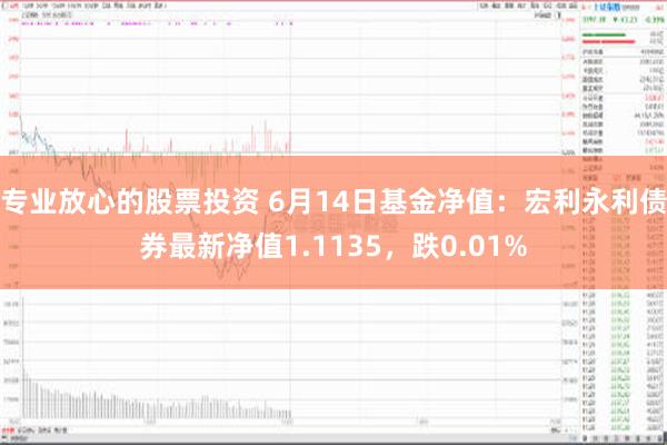 专业放心的股票投资 6月14日基金净值：宏利永利债券最新净值1.1135，跌0.01%