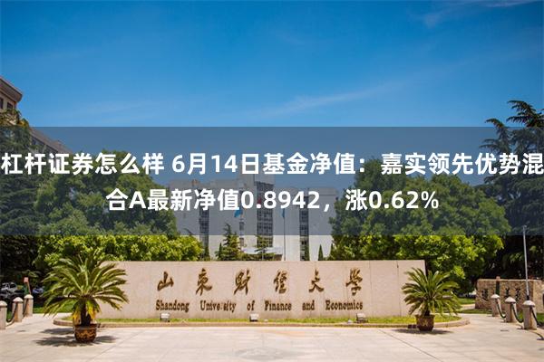 杠杆证券怎么样 6月14日基金净值：嘉实领先优势混合A最新净值0.8942，涨0.62%