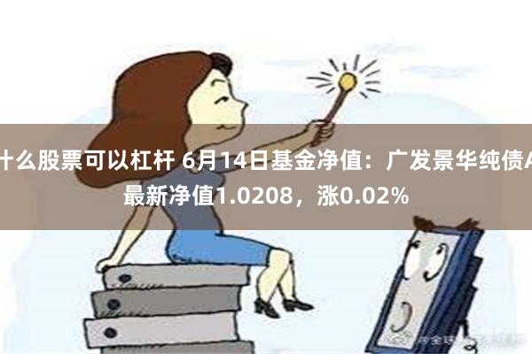 什么股票可以杠杆 6月14日基金净值：广发景华纯债A最新净值1.0208，涨0.02%