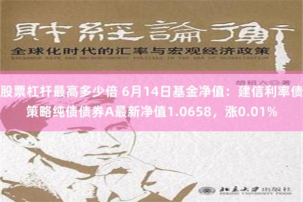 股票杠杆最高多少倍 6月14日基金净值：建信利率债策略纯债债券A最新净值1.0658，涨0.01%