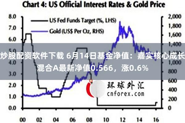 炒股配资软件下载 6月14日基金净值：嘉实核心成长混合A最新净值0.566，涨0.6%