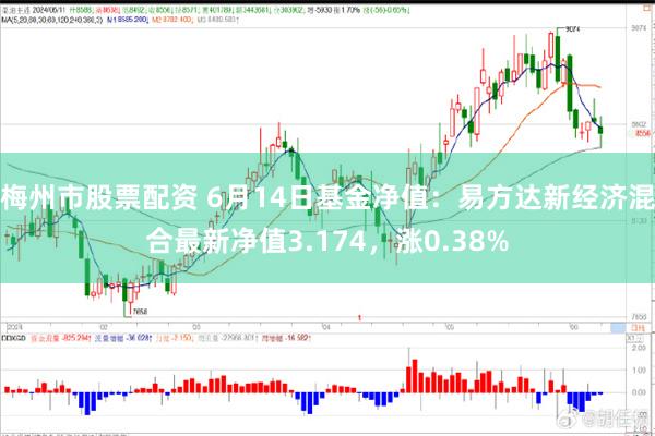 梅州市股票配资 6月14日基金净值：易方达新经济混合最新净值3.174，涨0.38%