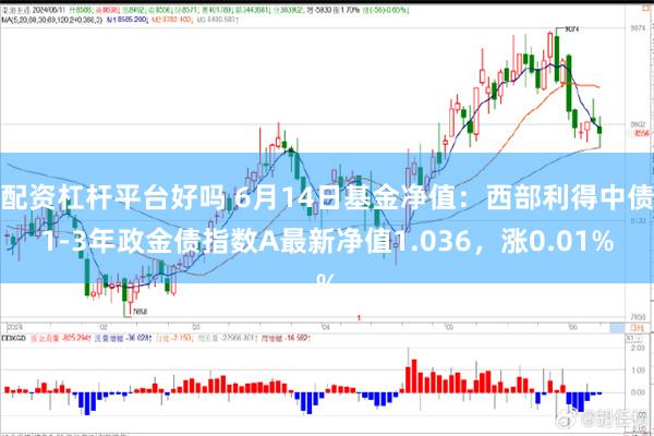 配资杠杆平台好吗 6月14日基金净值：西部利得中债1-3年政金债指数A最新净值1.036，涨0.01%