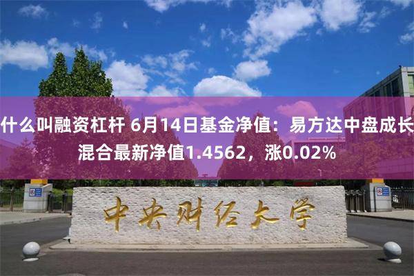 什么叫融资杠杆 6月14日基金净值：易方达中盘成长混合最新净值1.4562，涨0.02%