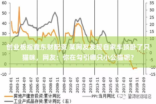 创业板指鑫东财配资 某网友发现自家车顶卧了只猫咪，网友：你在勾引哪只小公猫呢？