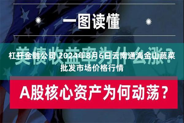 杠杆金融公司 2024年8月6日云南通海金山蔬菜批发市场价格行情