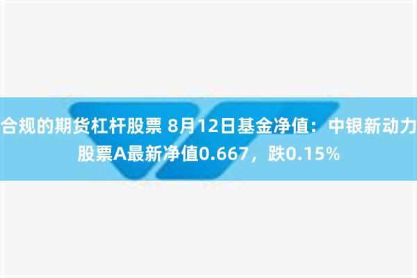 合规的期货杠杆股票 8月12日基金净值：中银新动力股票A最新净值0.667，跌0.15%