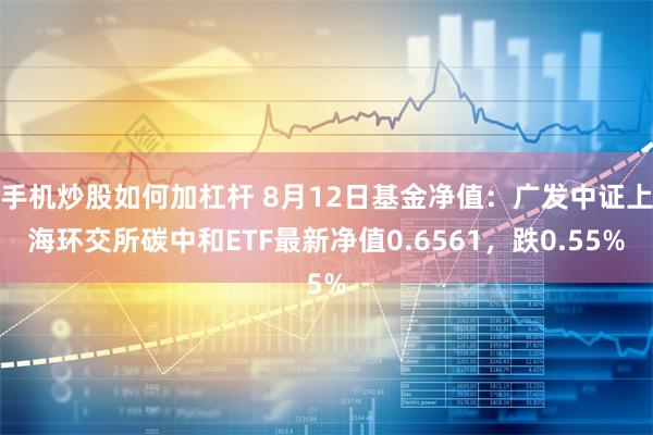 手机炒股如何加杠杆 8月12日基金净值：广发中证上海环交所碳中和ETF最新净值0.6561，跌0.55%