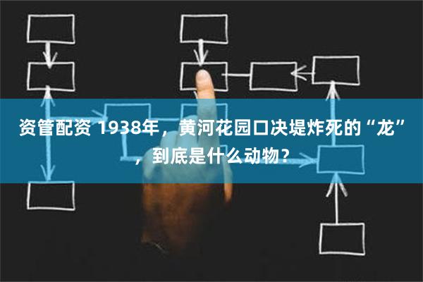 资管配资 1938年，黄河花园口决堤炸死的“龙”，到底是什么动物？