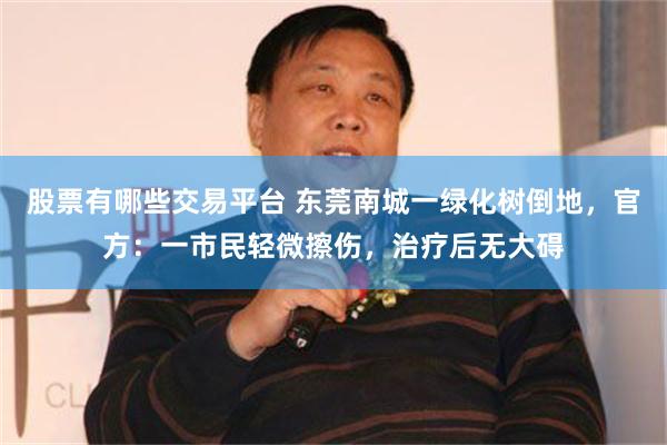 股票有哪些交易平台 东莞南城一绿化树倒地，官方：一市民轻微擦伤，治疗后无大碍