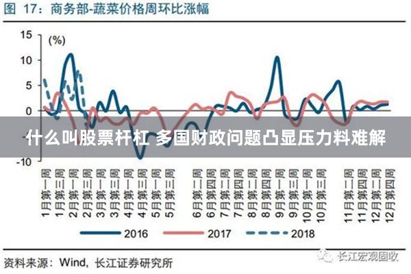 什么叫股票杆杠 多国财政问题凸显压力料难解