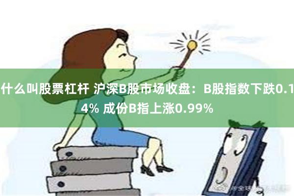 什么叫股票杠杆 沪深B股市场收盘：B股指数下跌0.14% 成份B指上涨0.99%