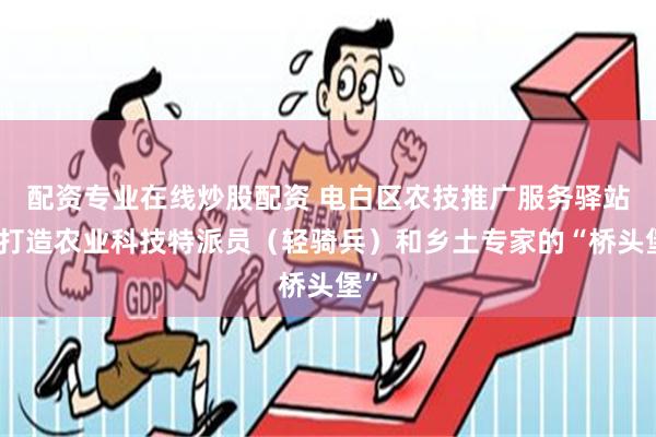 配资专业在线炒股配资 电白区农技推广服务驿站：打造农业科技特派员（轻骑兵）和乡土专家的“桥头堡”