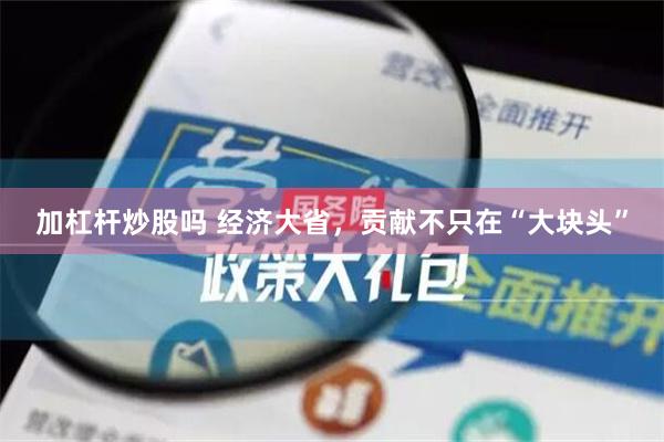 加杠杆炒股吗 经济大省，贡献不只在“大块头”