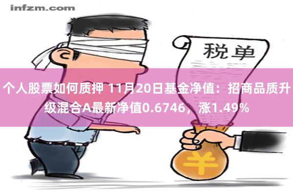 个人股票如何质押 11月20日基金净值：招商品质升级混合A最新净值0.6746，涨1.49%