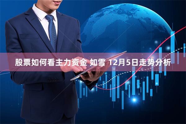 股票如何看主力资金 如雪 12月5日走势分析